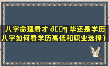 八字命理看才 🐶 华还是学历（八字如何看学历高低和职业选择）